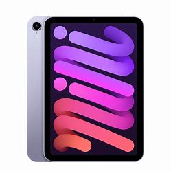 [سن0134] iPad mimi 6 Gray 256GB