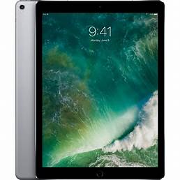 [سن0090] iPad Pro 13 256GB 5G Gray
