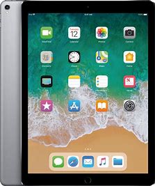 [سن0079] iPad Pro 12.9 256GB wifi Gray